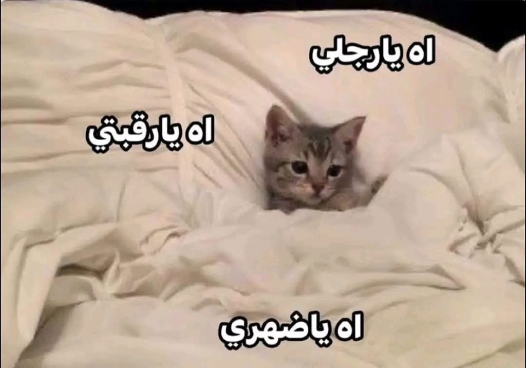 نهاية كل يوم :