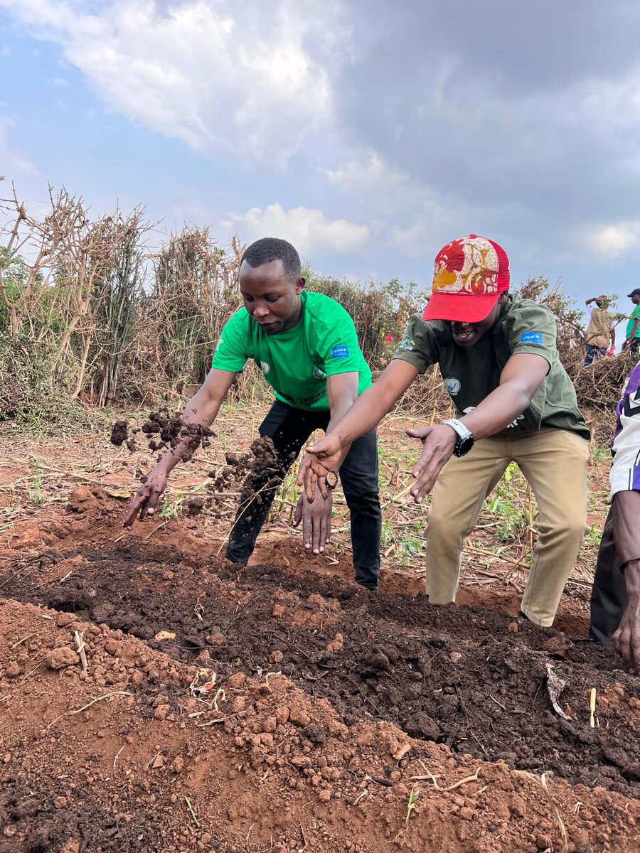 WGYB_NGO's tweet photo. Today, we joined MoYA, @GasaboDistrict leaders, partners, and fellow youth in @SectorRusororo-Ruhanga for a #SpecialUmuganda for #Youth.

The main activities included clearing bushes, collecting garbage, and planting fruit trees (avocados, mangoes, and oranges). 

These efforts not only beautified and cleaned the area but also supported long-term goals like improving nutrition, strengthening food security, and ensuring community members’ responsibility for protecting the environment. 

#Umuganda #GreenRisingRwanda
@jnabdallah @unicefrw @GenUnlimited_  @TeddyMugabo_