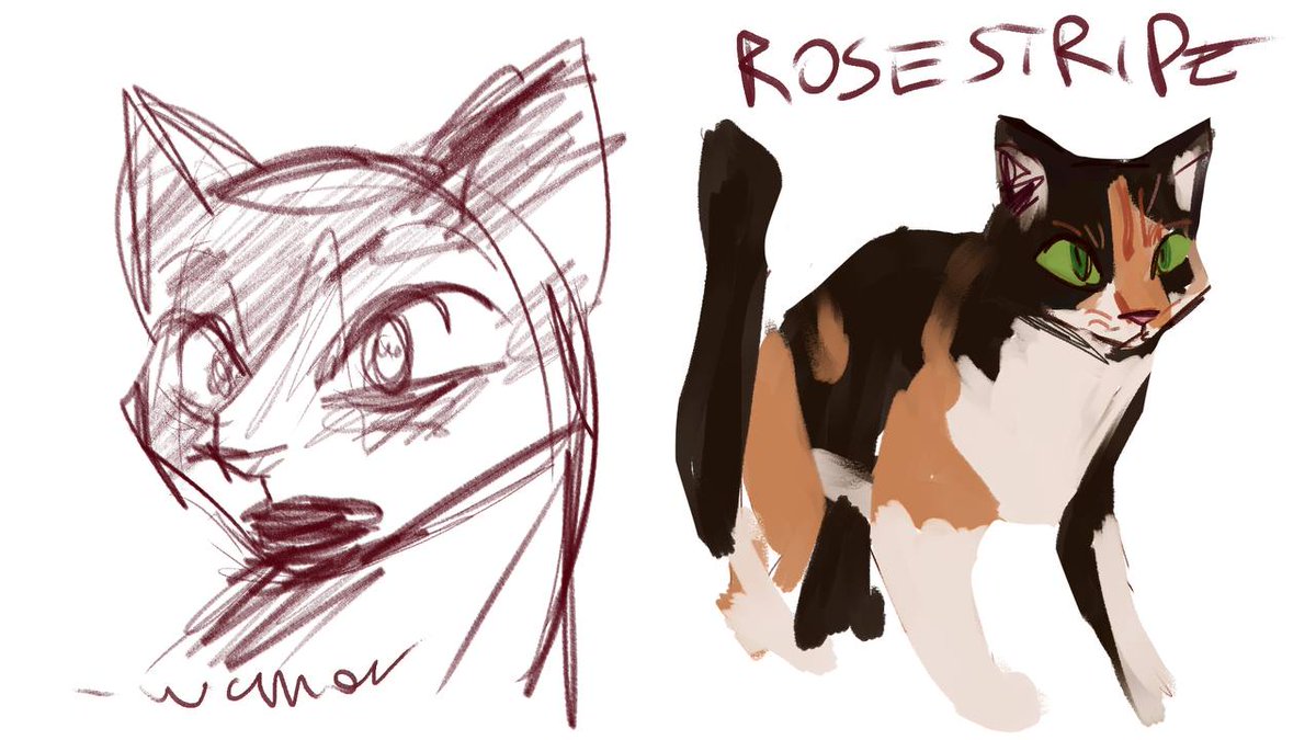 random character designs #warriorcatsoc