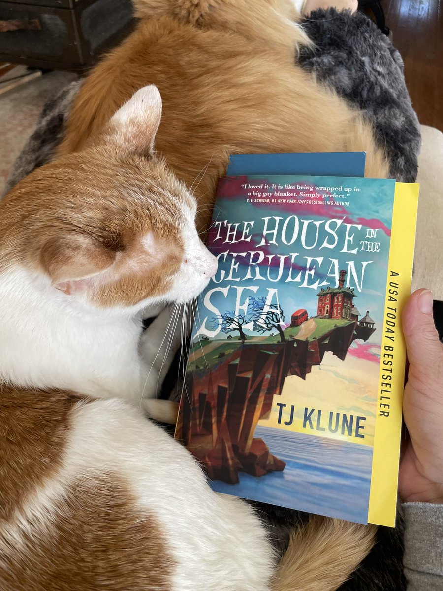 Julie Germany tweet media