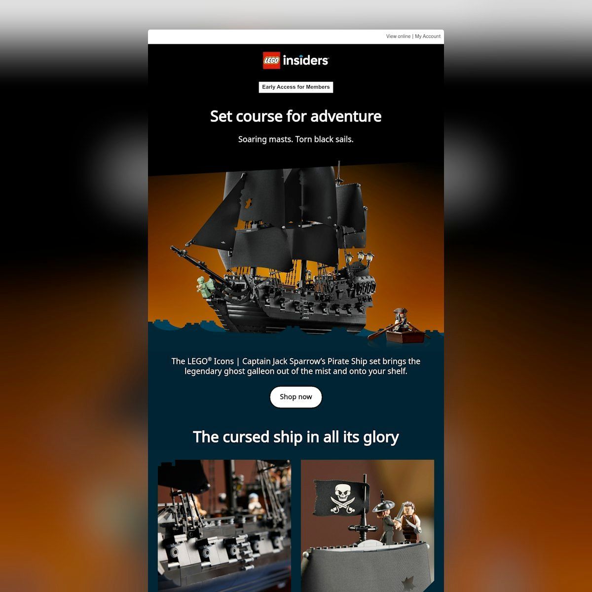 emaillove's tweet image. Immerse in the pirate theme with smart use of dark backdrops & white text. Full-width images & catchy headlines create a steady rhythm leading to clear “Shop now” buttons. ⚓️ #VisualFlow #DesignTips