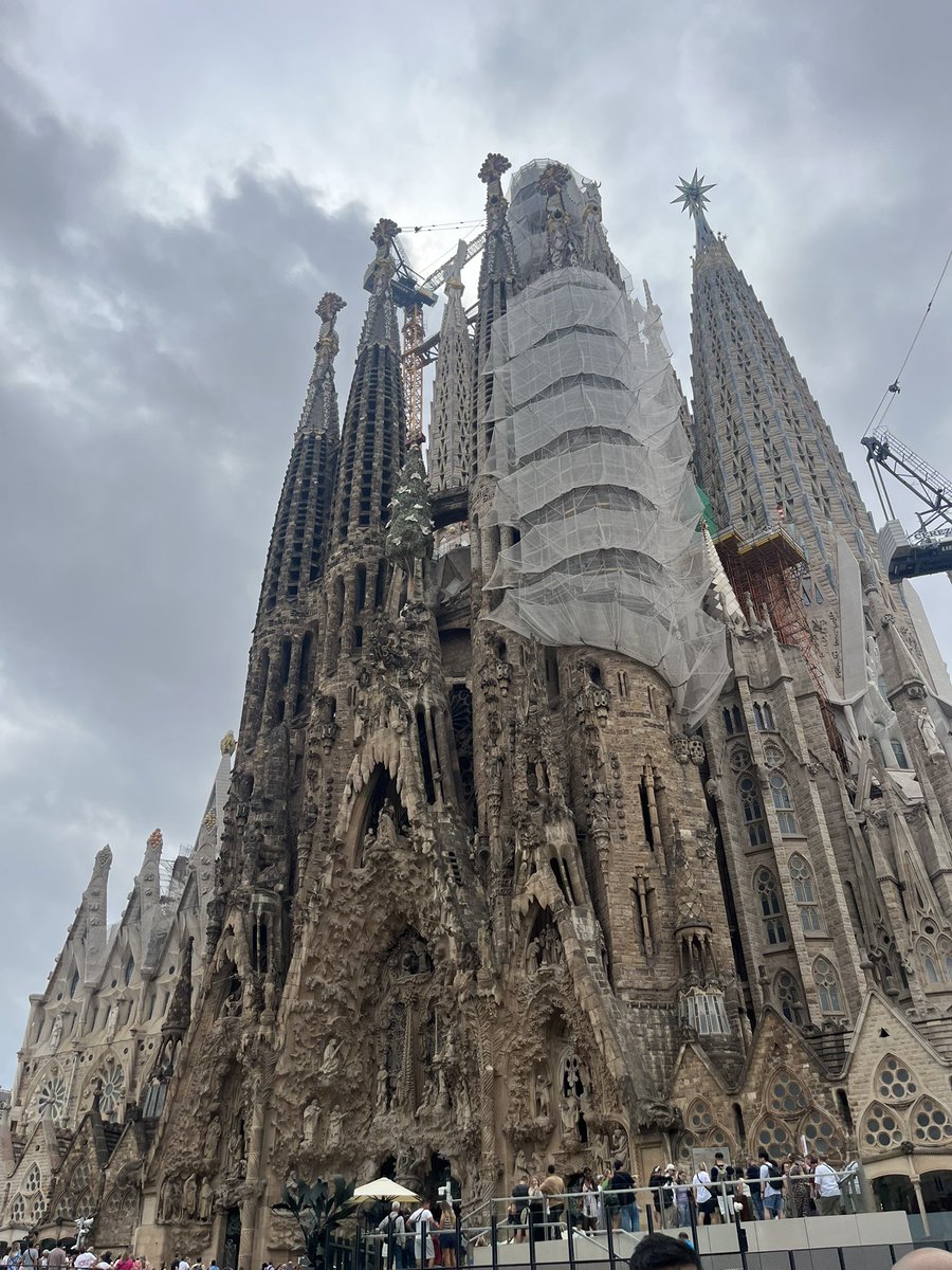 Claire Elizabeth tweet media