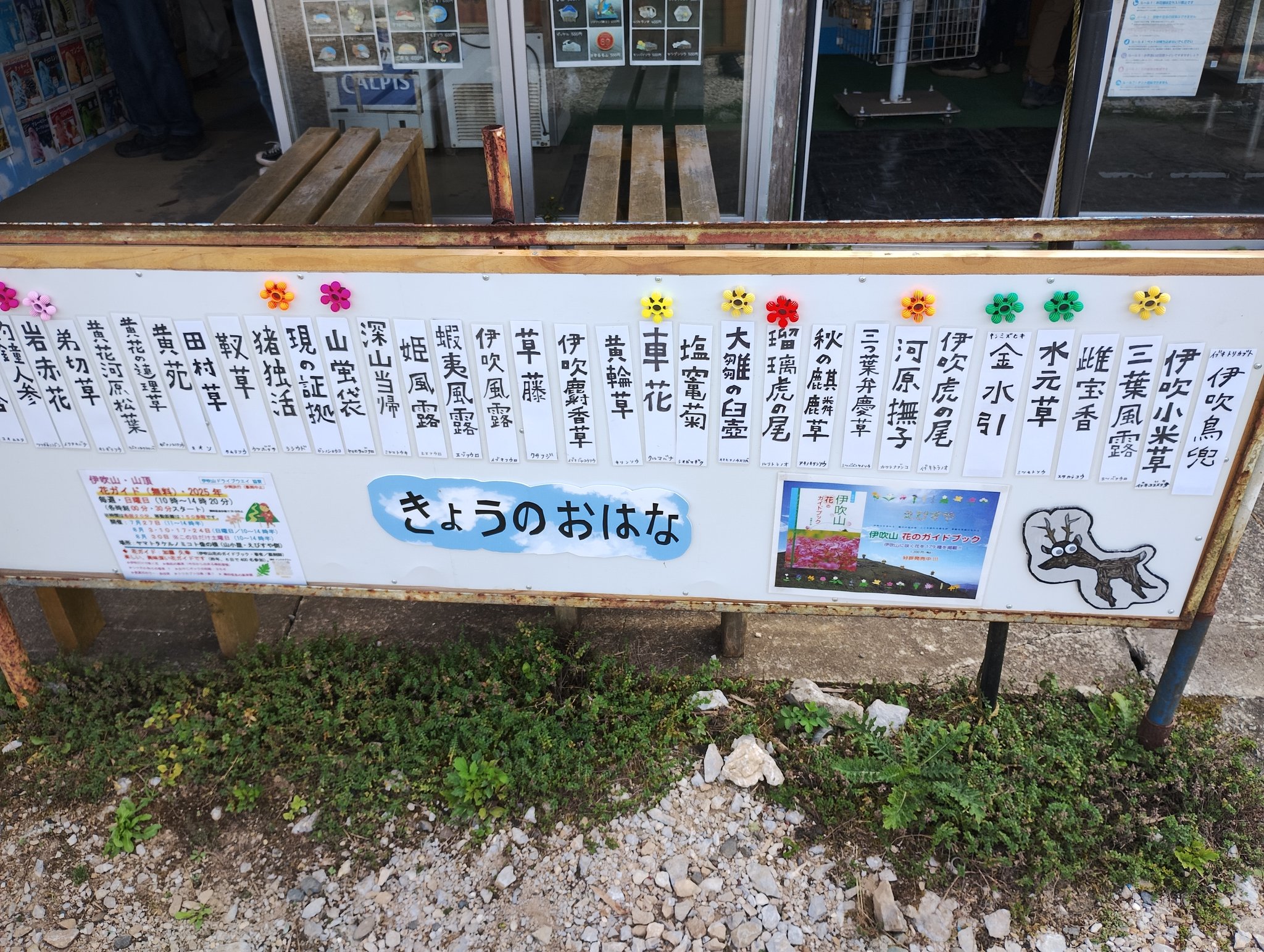 伊吹山のキーホルダーとおまけ付き 懐古KC on X: 