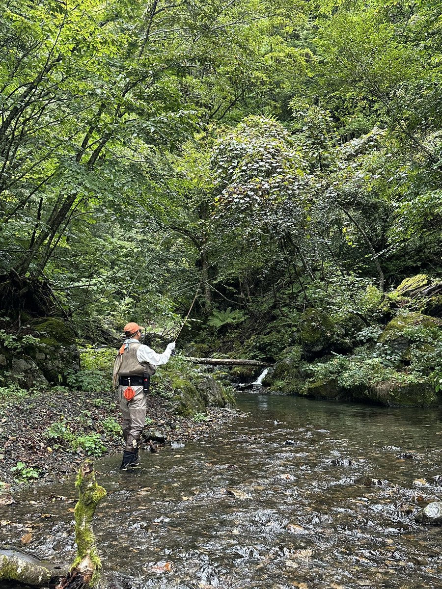 flyfishing1995's tweet photo. ゴルジュの森へ

天気は時折、雨も降りましたがなんとか1日釣りが出来ました😊

無我夢中でやり過ぎて、クタクタです…💦

シーズンも今月末まで…
終了までに、あと何回行けるかな…

#フライフィッシング https://t.co/ska1nvc7ez