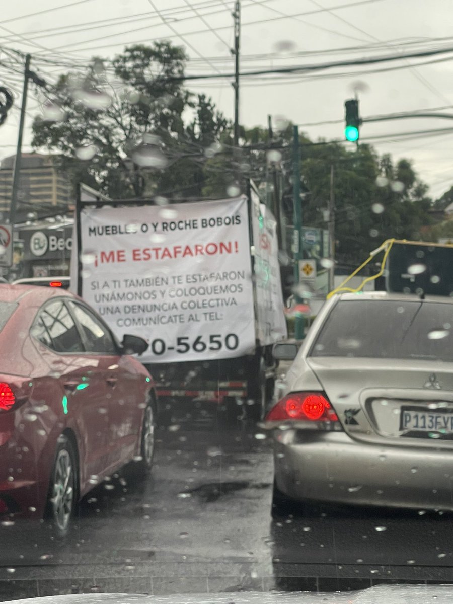 Es como encontrar a waldo, pero a la tortrix