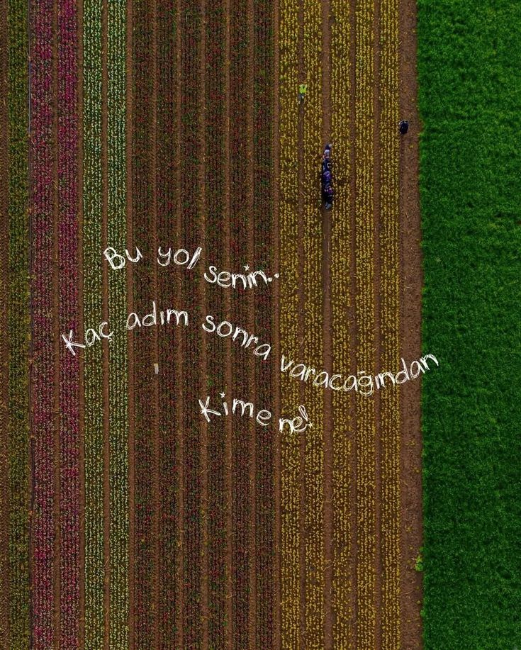 Hepsolduk (@hepsolduk) on Twitter photo 