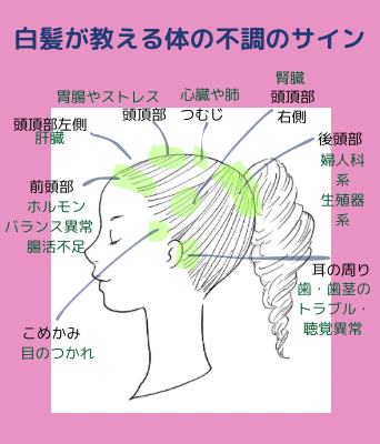 胃腸の弱い私は頭頂部に白髪が多いんですよね
