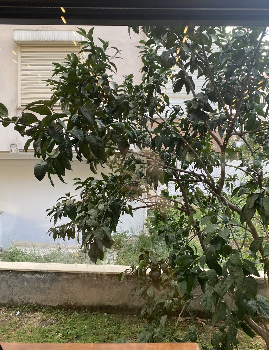 lzeyyraa (@umutvarmiya) on Twitter photo 