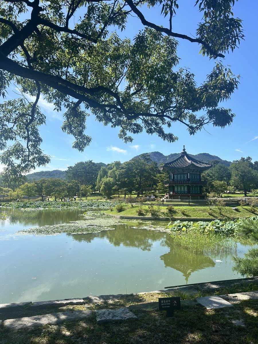 Jack | Freckleston tweet media