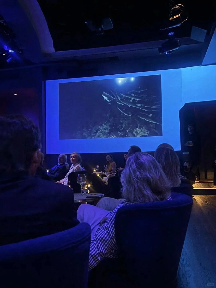 SchanemanB29780's tweet image. Gala buffet friend said Henry VIII six wives like my six design versions swap nonstop. Snorted food. King greedy. I think one refined version beats many messy ones.