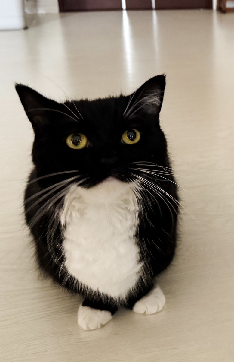 But he seems a bit spaced out…