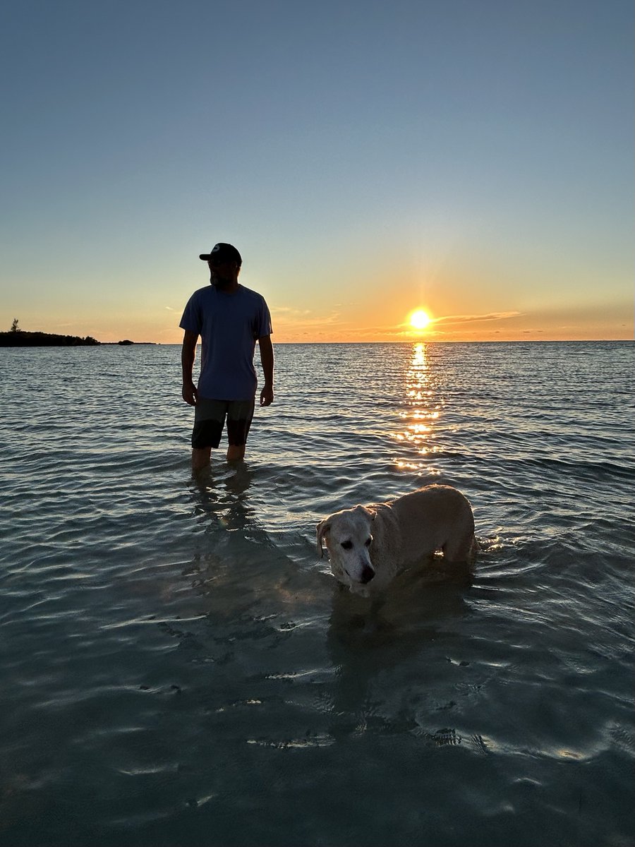 Totally normal Saturday night… 🌅