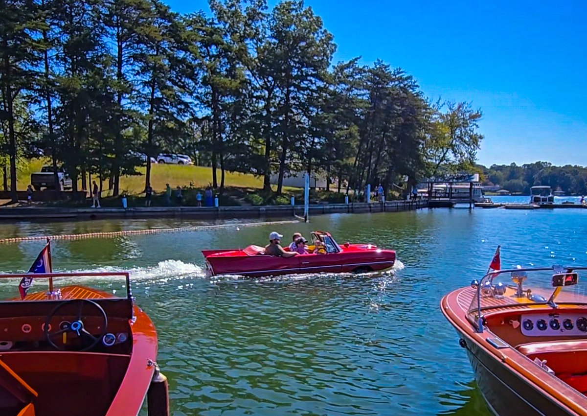 David Peterson tweet media