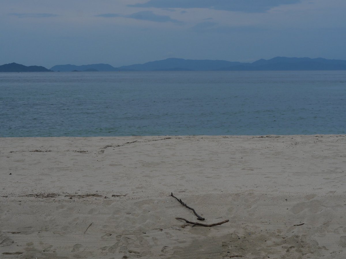 流木の向きは不揃い浜の秋
りゅうぼくのむきはふぞろい　はまのあき

靴跡と犬の足あと秋の浜
くつあとといぬのあしあと　あきのはま
愛媛県松山市　モンチッチ海岸(立岩海水浴場)

貝殻のささやき始む秋の潮　甲斐由紀子