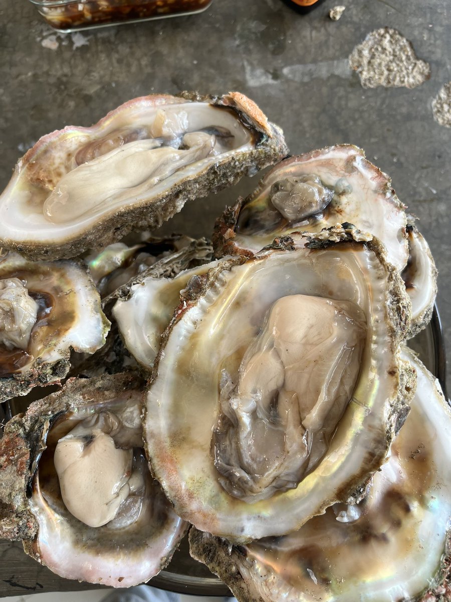 De las ventajas de salir a rutas foraneas en la costa !!! Así q comperrr!!!