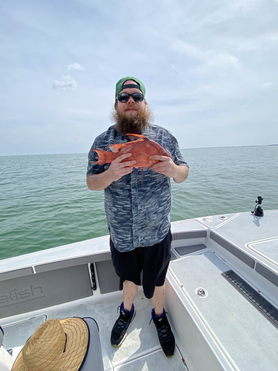 josephrochow's tweet image. hogfish 🎣