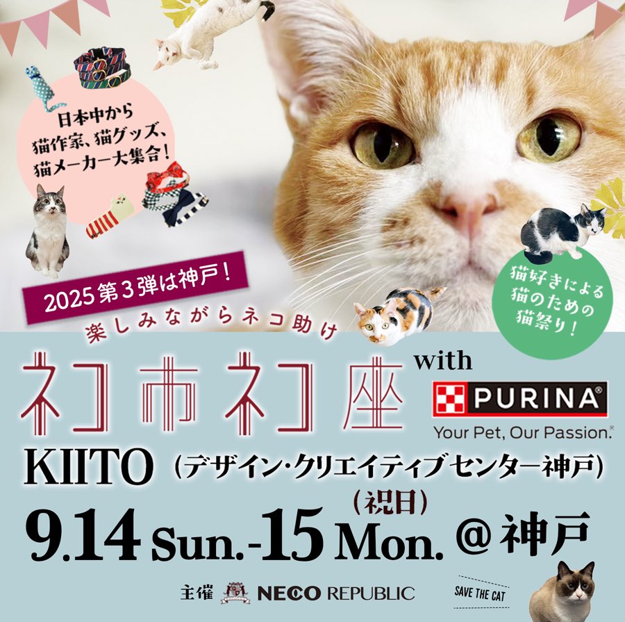 isaポタ tweet media