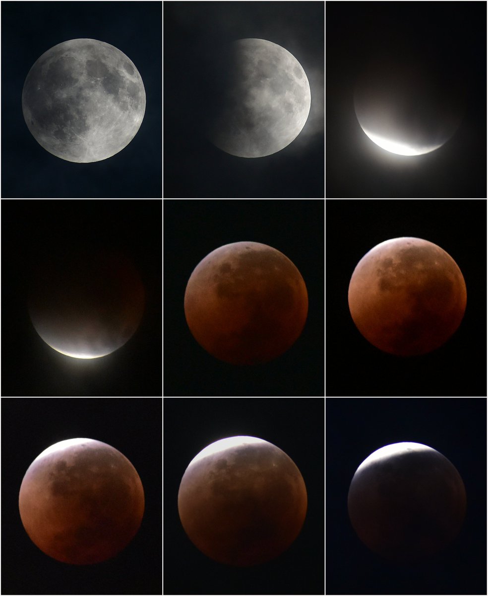 MarvabluesF1's tweet image. Almost a week ago ♥️