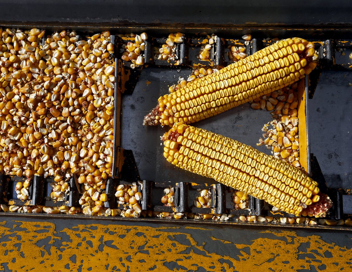 Jeff Cook (@jeffcook58) on Twitter photo 