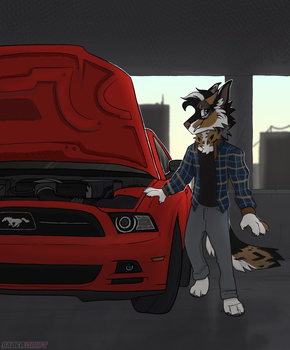 Ych for Jay

What's your fav gen of mustang?