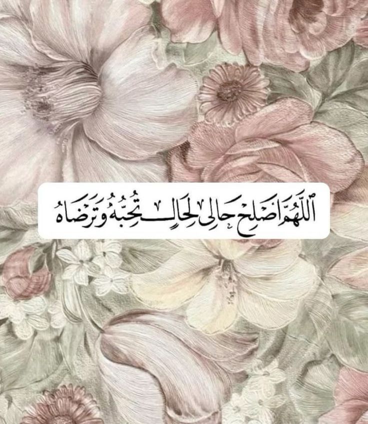 تاريخ وحضارة (@1il5i) on Twitter photo 