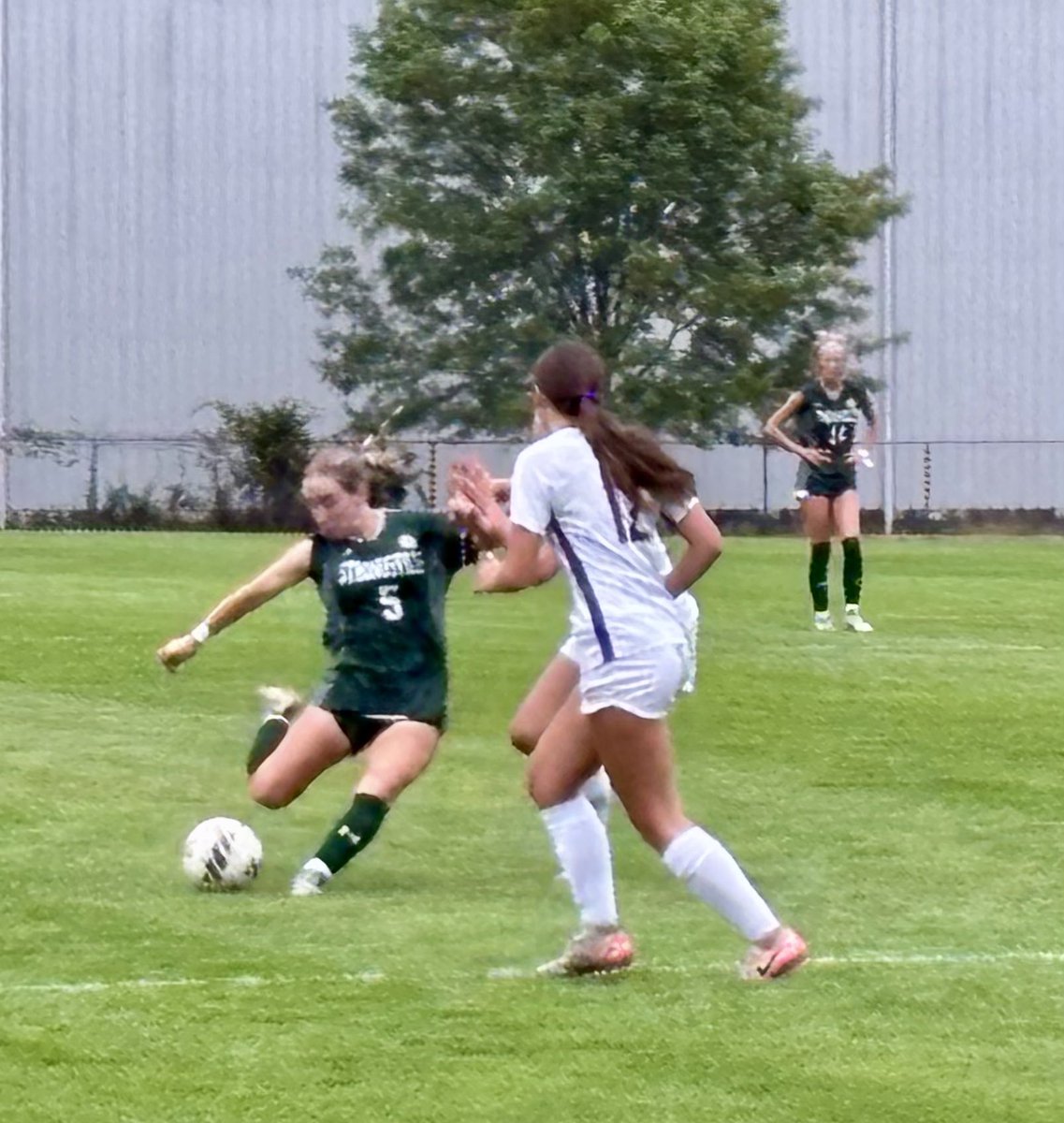 Mustang Athletics tweet media