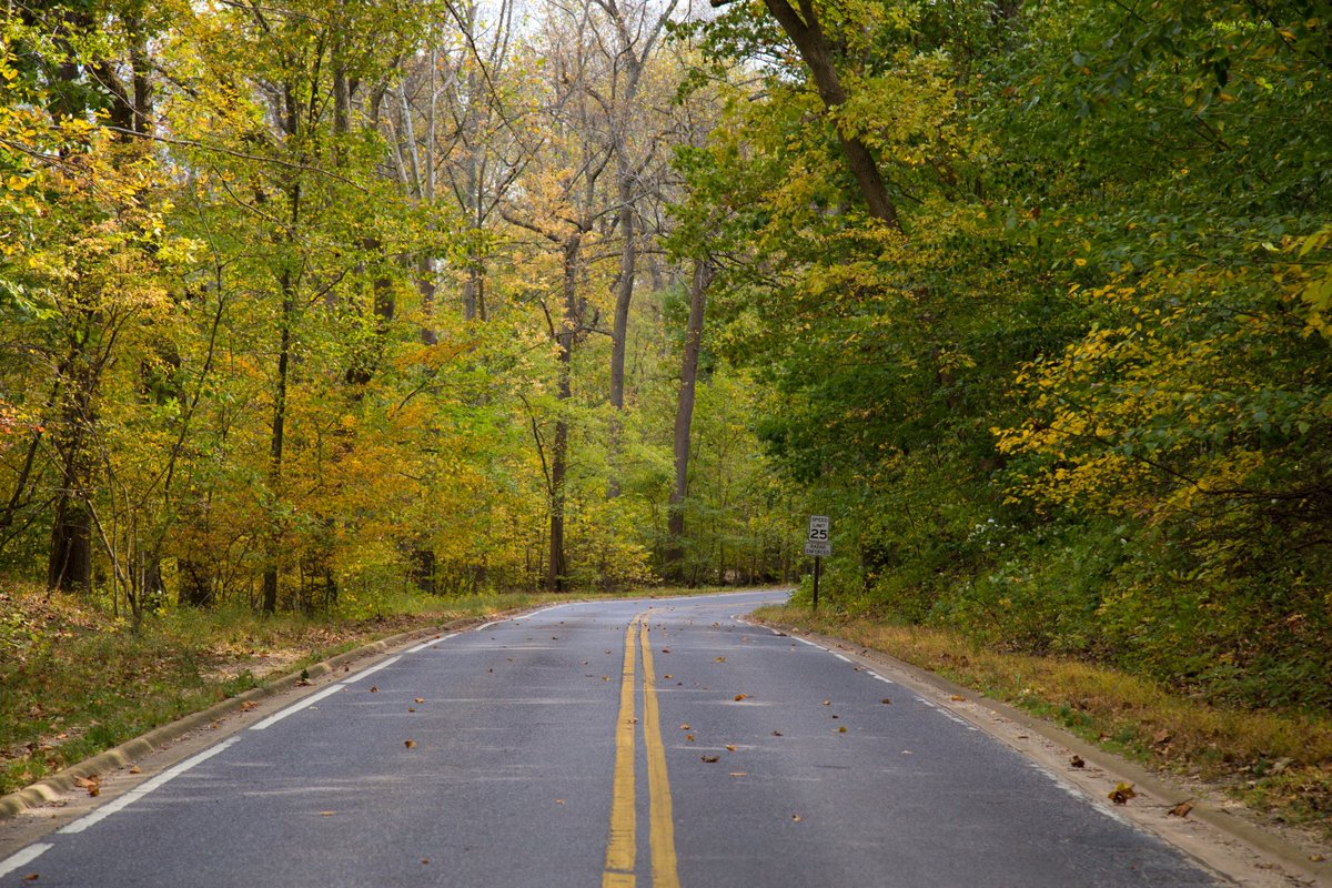 We’re hosting a fall scenic driving day along the entire length of Beach Drive on October 11, from 11 am to 4 pm. Drive the route and stop by Picnic Grove 6 for activities with park rangers and <a href="/LoveRockCreek/">Rock Creek Conservancy</a>. 

For more details, visit go.nps.gov/ROCRDrivingDays.