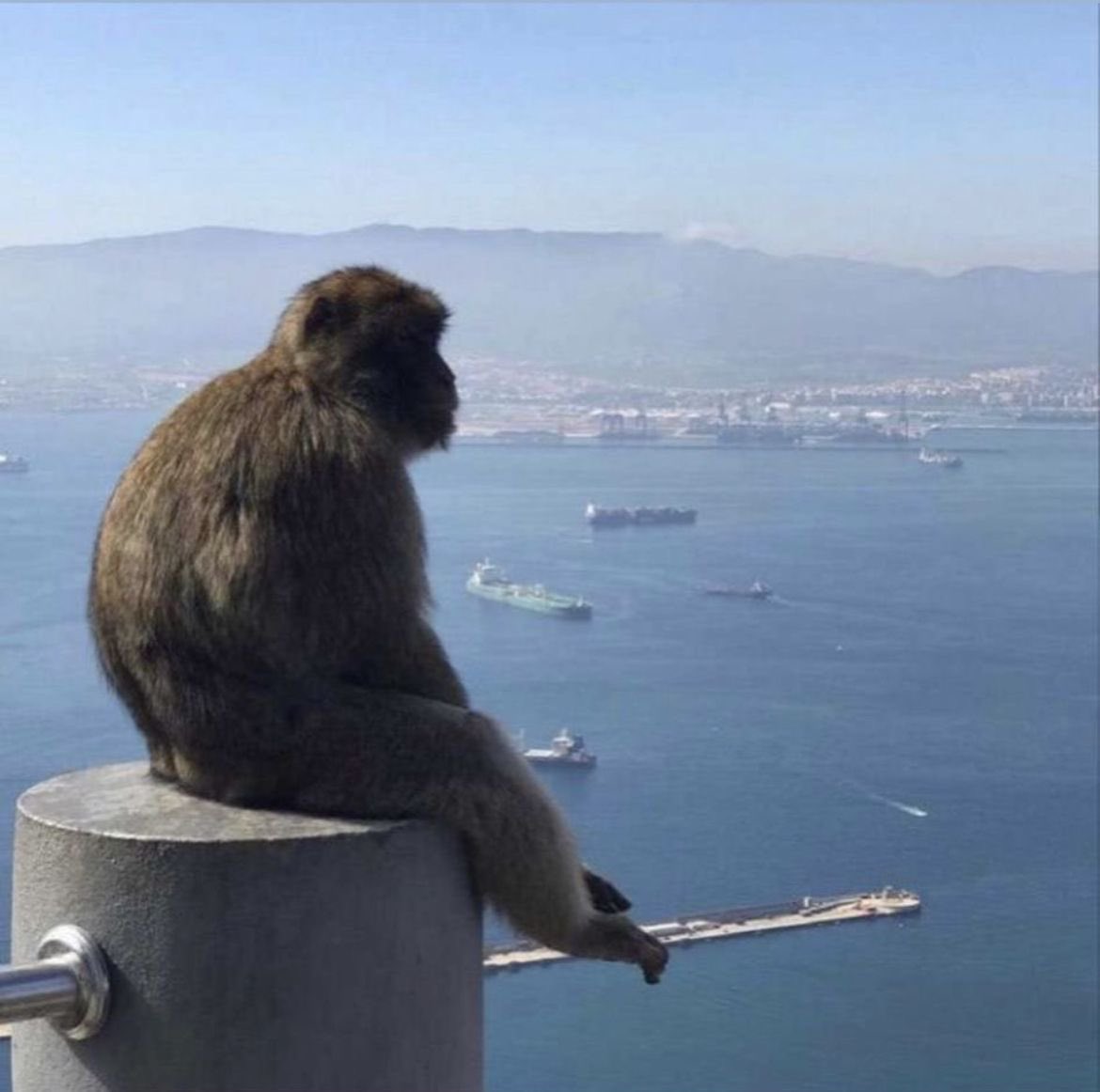 alffction's tweet image. moi qd jsuis obese, en echec scolaire et pas lavée depuis 3 mois psq jsuis une #nerd #geekette