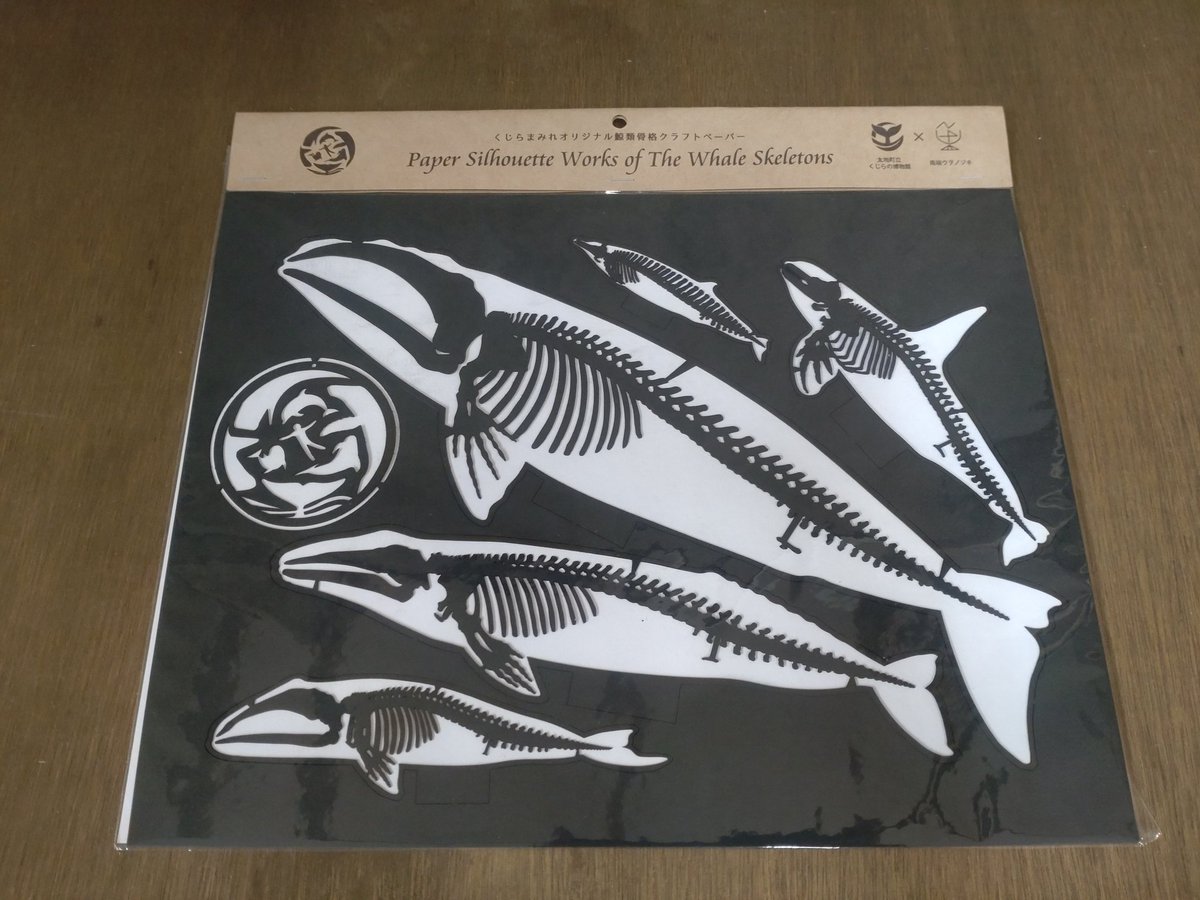 【くじらまみれ公式グッズのご紹介📣】
＃くじらまみれ2025　#くじらの博物館
くじらまみれ🐳では、毎年公式グッズを販売しています🐬今年は、トートバッグ、コースター、缶バッチ、骨格クラフトペーパーです。在庫に限りがあるため、気になる方はお早めに🙏15日まで‼️
kujirakan.jp/news/1376/