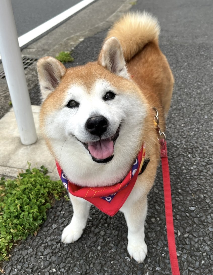 学園ベビーシッターズ 13