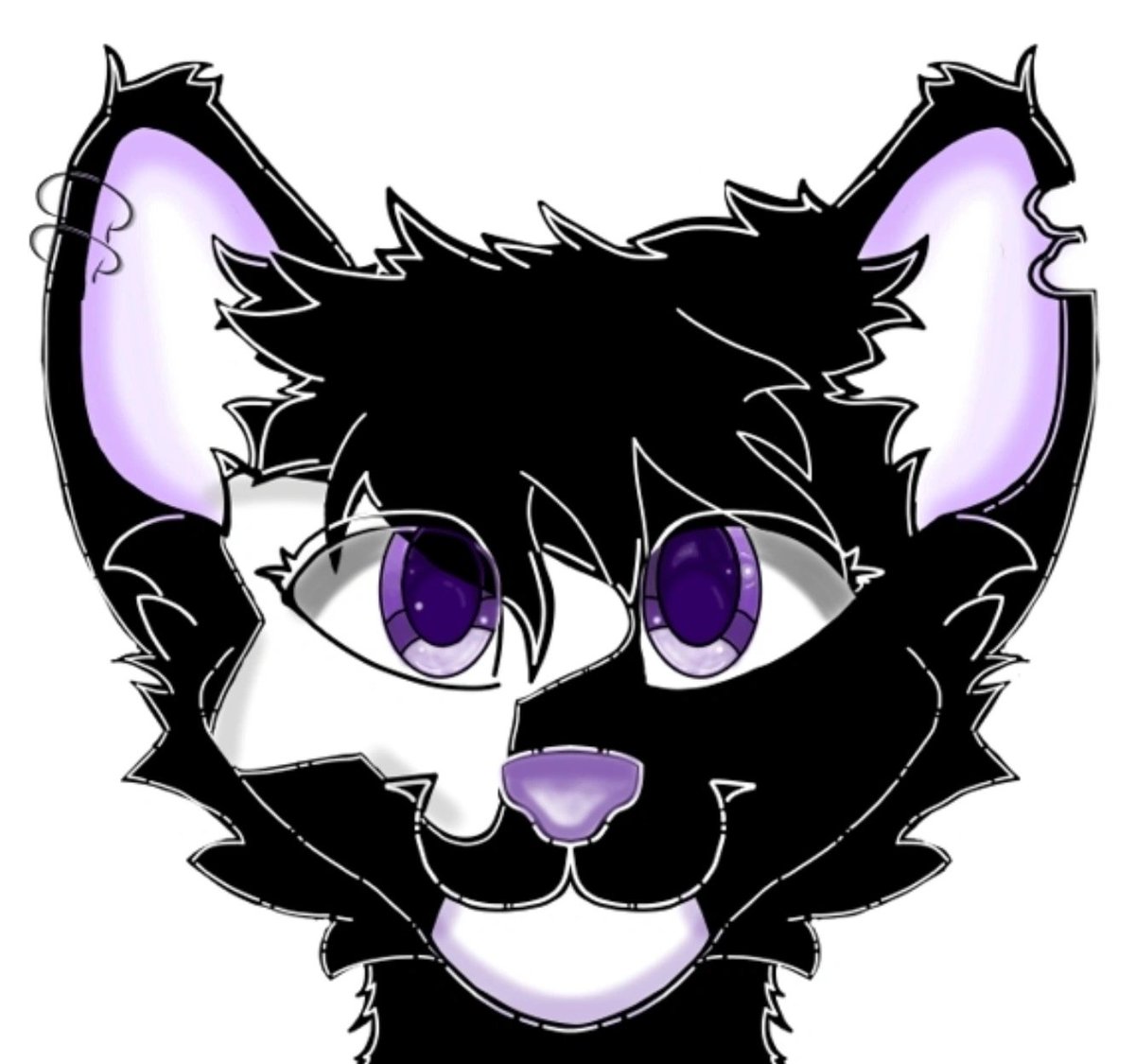Shadowo_XD tweet media
