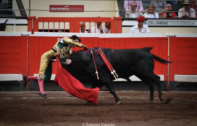 ¡Buenos días! #FelizDomingoATodos
Antonio Catalán es el fotógrafo
ForosToreros.Com  
Entrar a matar en la suerte suprema ¿Quién es el torero?