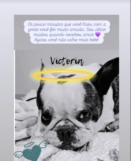 Simo Häyhä NFS tweet media