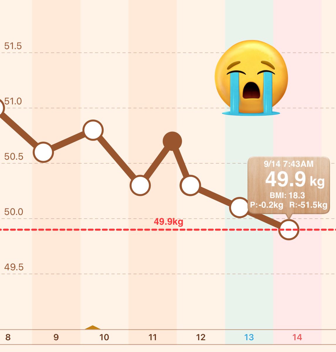 三元豚 -52kg休薬中 tweet media
