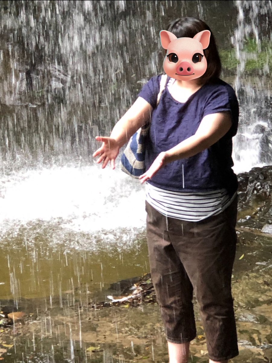 三元豚 -52kg休薬中 tweet media