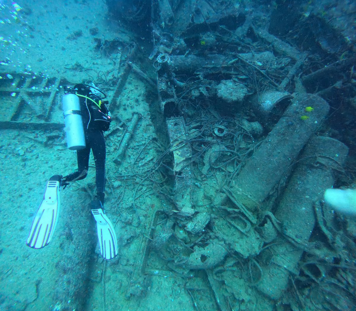 Sebastian Bae tweet media