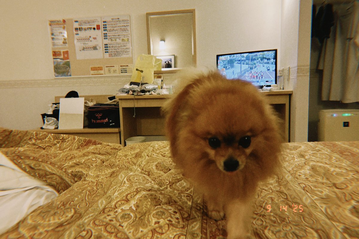 5vmM8's tweet photo. https://t.co/EmR7wKpbUE
