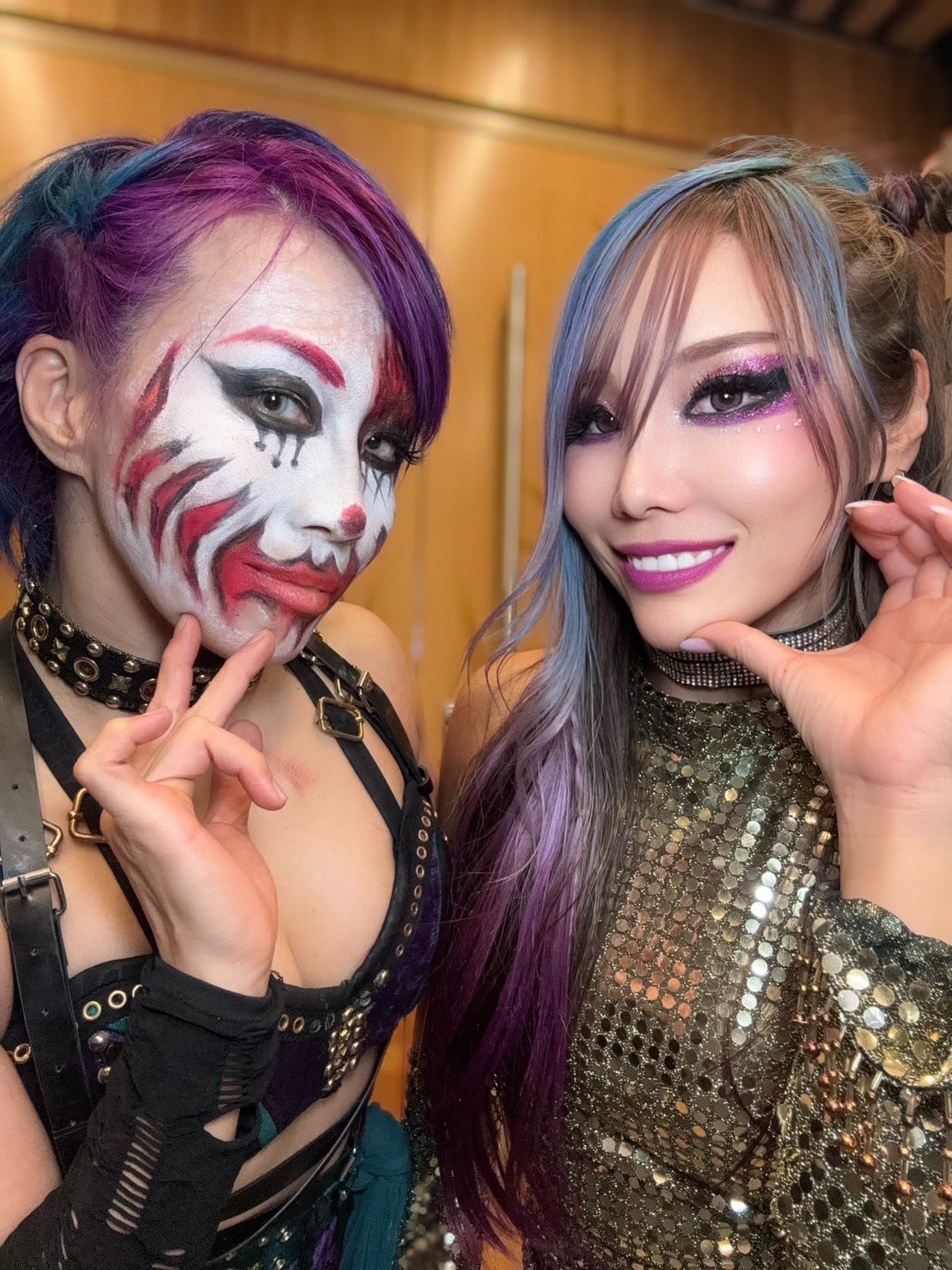 カナプロマニア他華名興行半券5枚セットWWEASUKA 2025年最新】Yahoo!オークション -華名 wwe asukaの中古品・新品