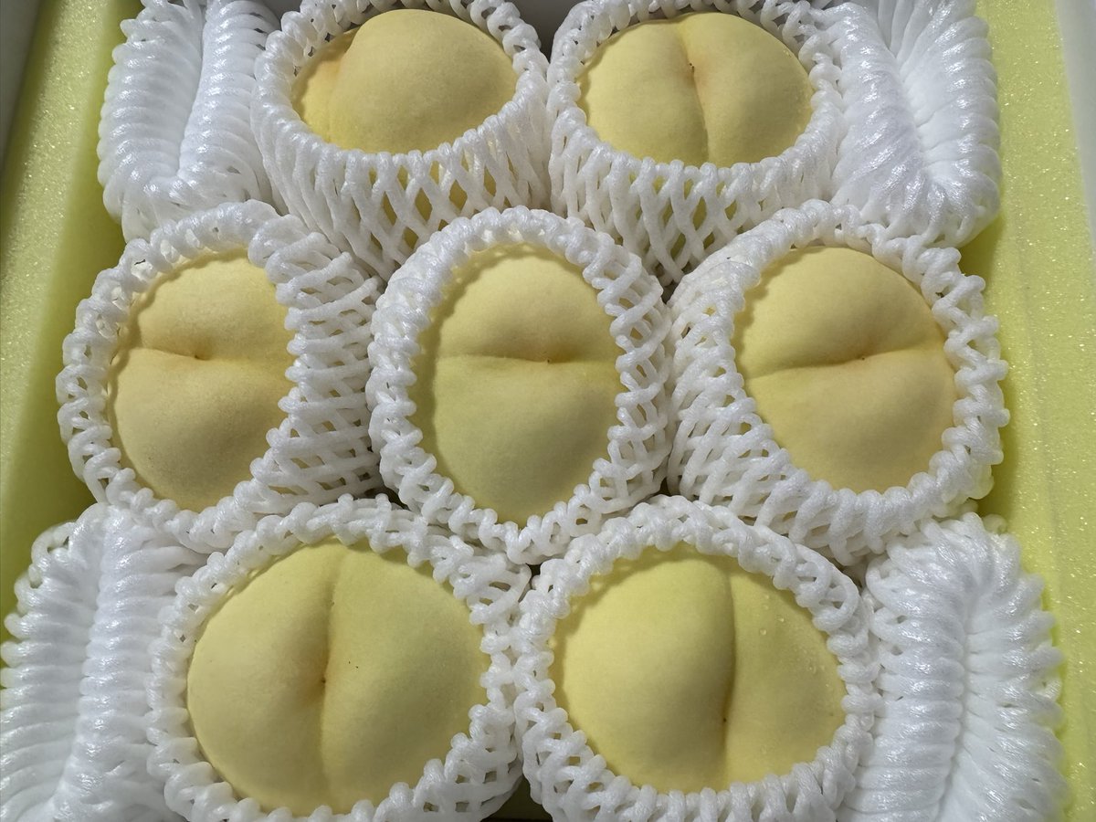 桃🍑届きました😊

毎年楽しみにしている桃が今年も届きました🍑
昨日届いたのは黄金桃（1枚目の写真）。
そして、8/8に届いていた清水白桃のことを記録しそびれていたので、一緒に📸

さっそく冷やしていただきます😊
黄金桃は清水白桃とはまた違った食感と甘みがあって、これまた楽しみ〜