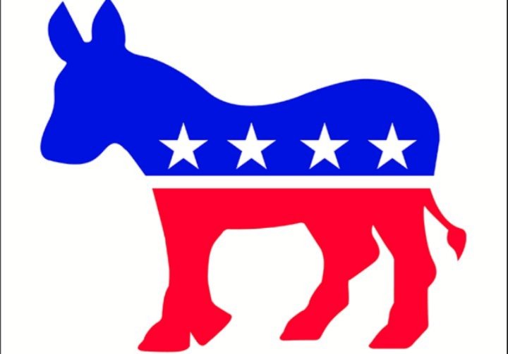 The Democrats are in the Deep State itself🚫