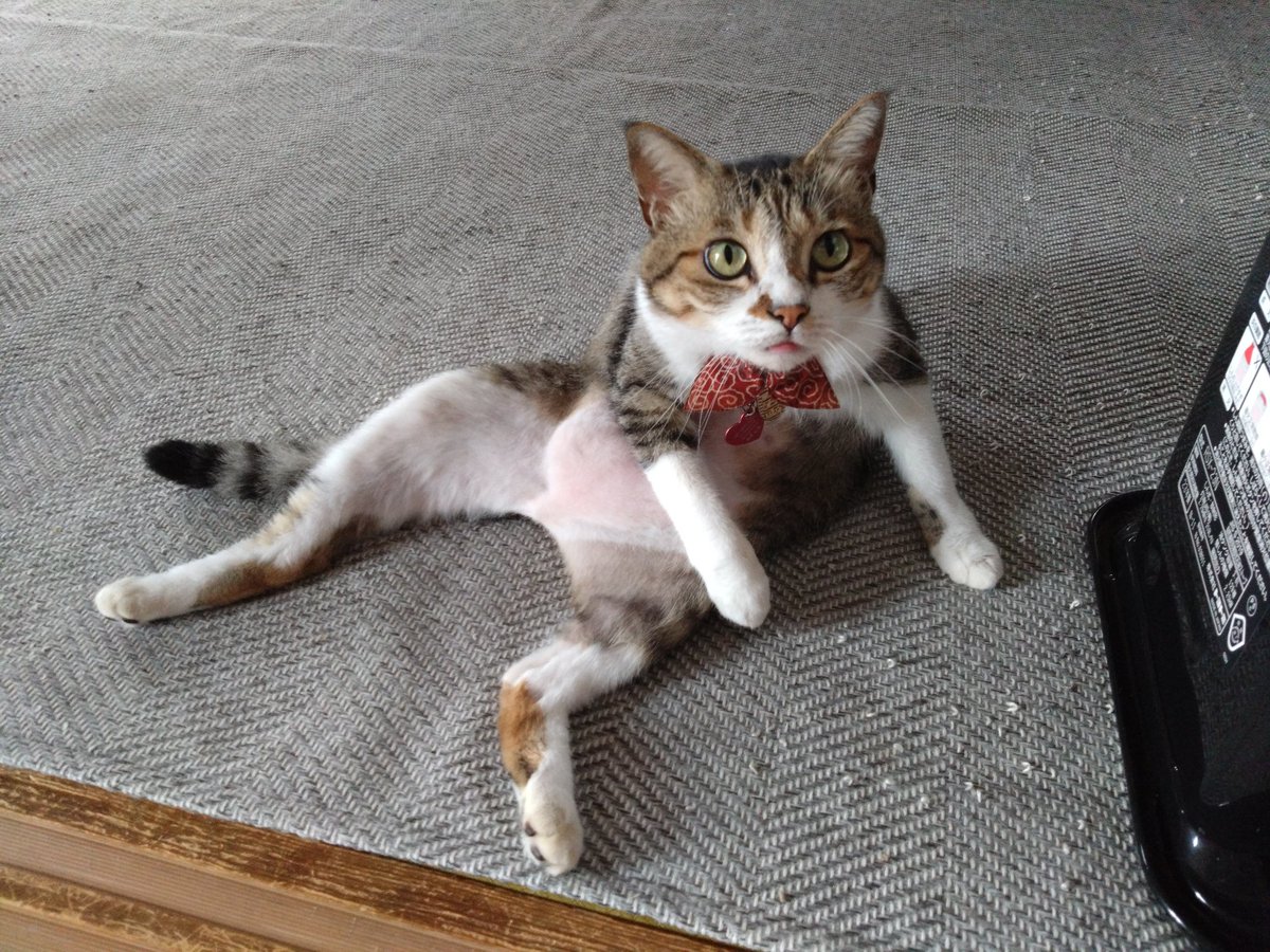 渡邉 拡庸 tweet media