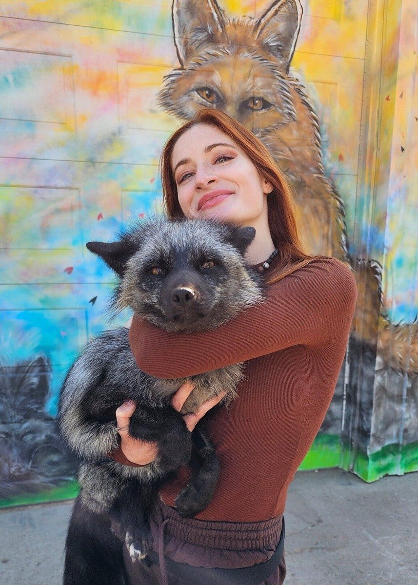 DeadGurlUK's tweet image. “The rescue world cannot keep cannibalizing its own.”