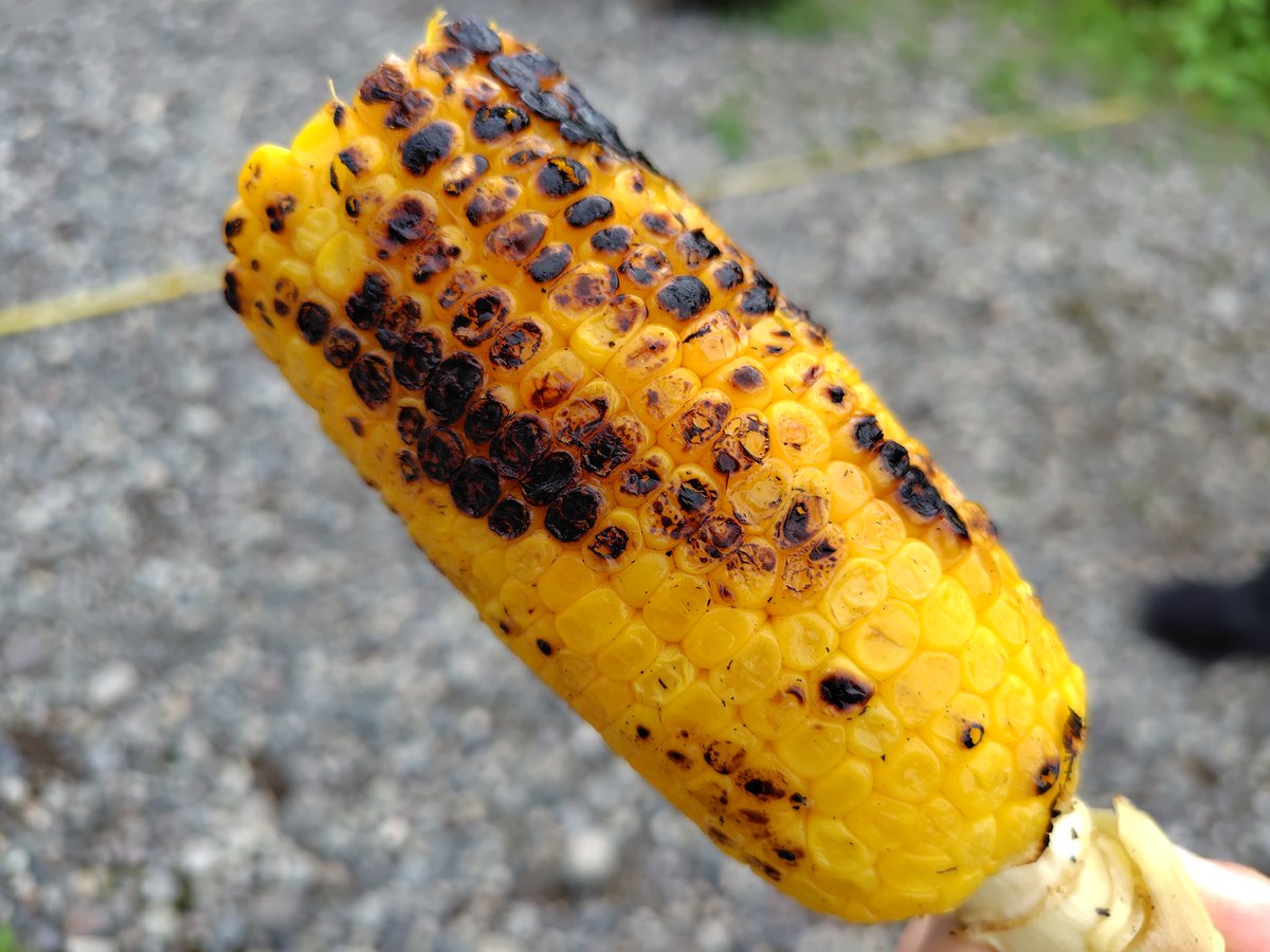 はい、今は新潟県妙高市の宿泊施設にいます。一泊二日で長野県北部（宿泊地は、県境ギリ越えている）に旅行きてます。天気めちゃくちゃ悪いです。昨日は、食べてばかりで、お腹が辛い。昨日投稿してなかった食べ物載せますね。そば粉ガレットと焼きとうもろこしです。