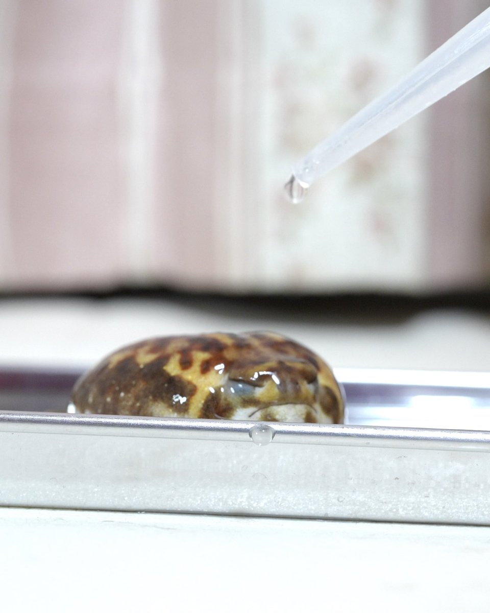 Please close your eyes 😉
目をつぶってください😉