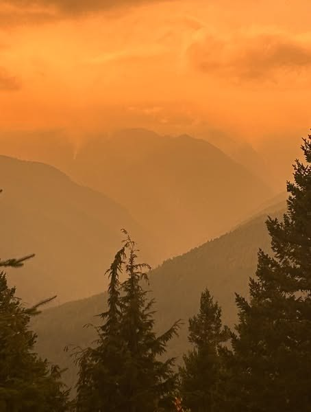 NWFireBlog2's tweet image. By popular demand, we are bringing this fire to light:

TUNNEL CREEK FIRE 
= 1.5 mi W of Tunnel Creek Trail/10 mi SW of Quilcene, WA. 
= 190 acres, 0% contained.
= No resources listed.
= $60,000 CTD.

PC: Olympic NF