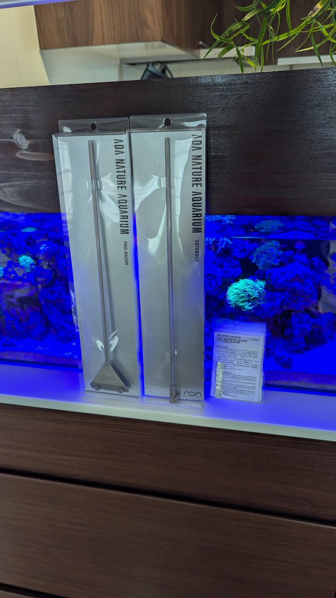 moti_aquarium's tweet photo. ついに買いました🥰 https://t.co/R1eSKgDVsm