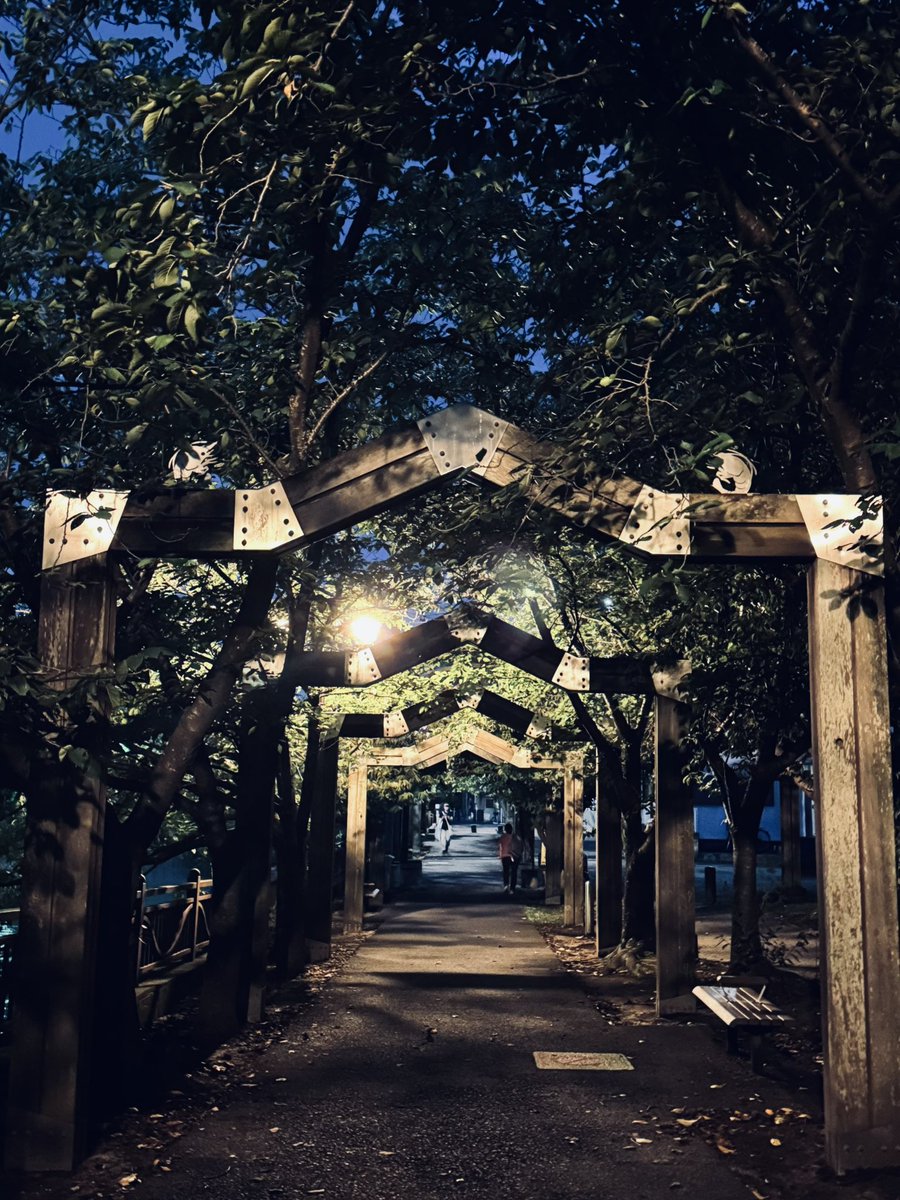 昨日撮った写真がジブリっぽかった
トトロ出てきそう☺️