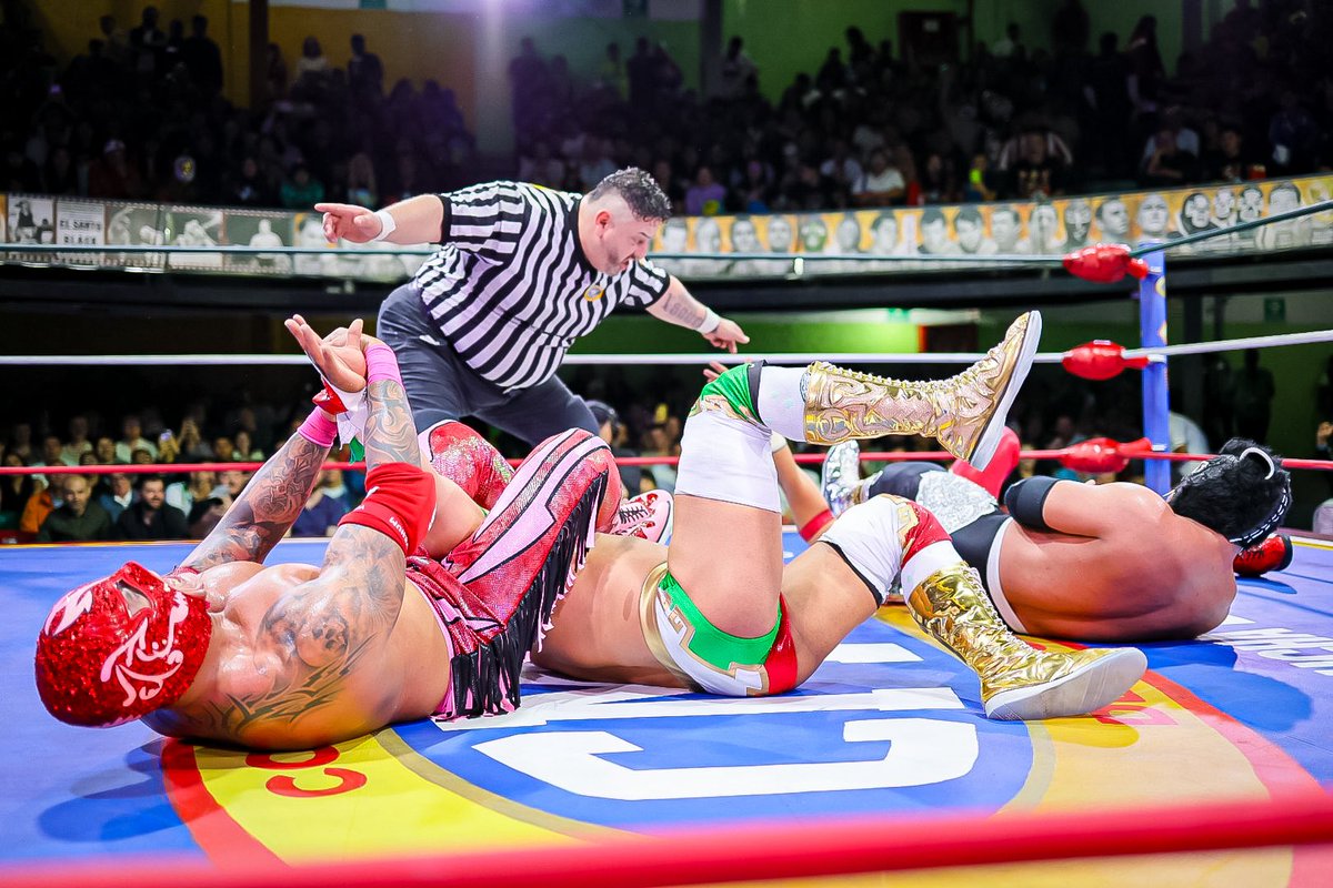Los Depredadores (Magnus y Rugido) 
retuvieron el Campeonato Nacional de Parejas al imponerse a Los Dragones (Dragón de Fuego y Dragón Legendario) en una excepcional batalla titular que arrancó al público el grito de “Esto es Lucha”

#SábadoDeColiseo 
📺: youtube.com/live/0_EFclpAI…