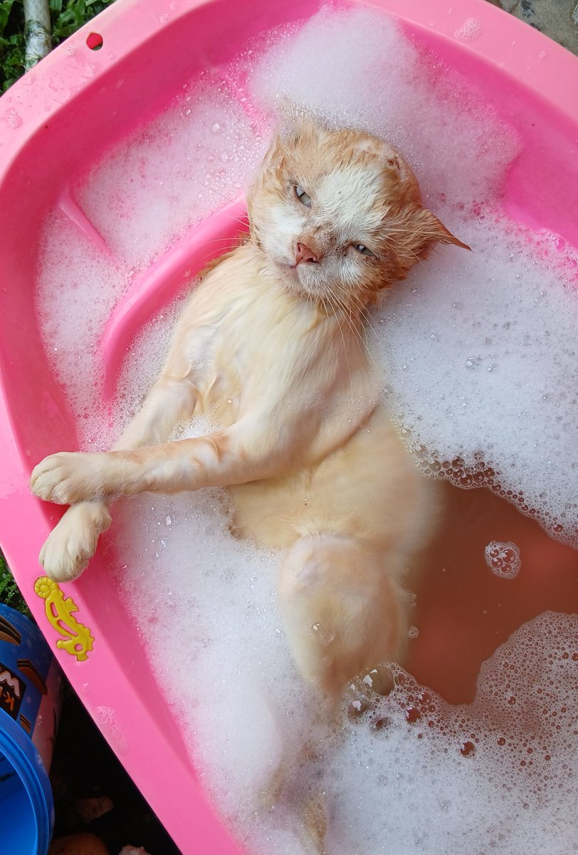 panggil aja ucok tweet media