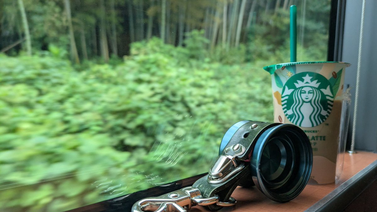 旅気分を味わいたい一心でロマンスカーで向かっている